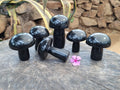 Polished Black Basalt Mushrooms x 6 From Antsirabe, Madagascar - Toprock Gemstones and Minerals 