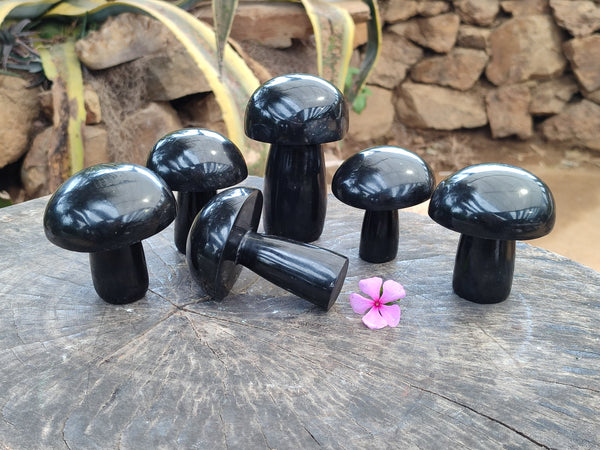 Polished Black Basalt Mushrooms x 6 From Antsirabe, Madagascar