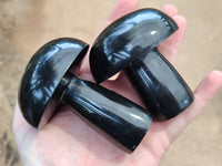Polished Black Basalt Mushrooms x 6 From Antsirabe, Madagascar