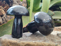 Polished Black Basalt Mushrooms x 6 From Antsirabe, Madagascar