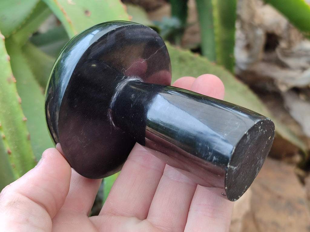 Polished Black Basalt Mushrooms x 6 From Antsirabe, Madagascar - Toprock Gemstones and Minerals 