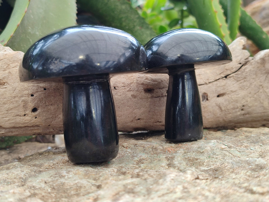 Polished Black Basalt Mushrooms x 6 From Antsirabe, Madagascar - Toprock Gemstones and Minerals 
