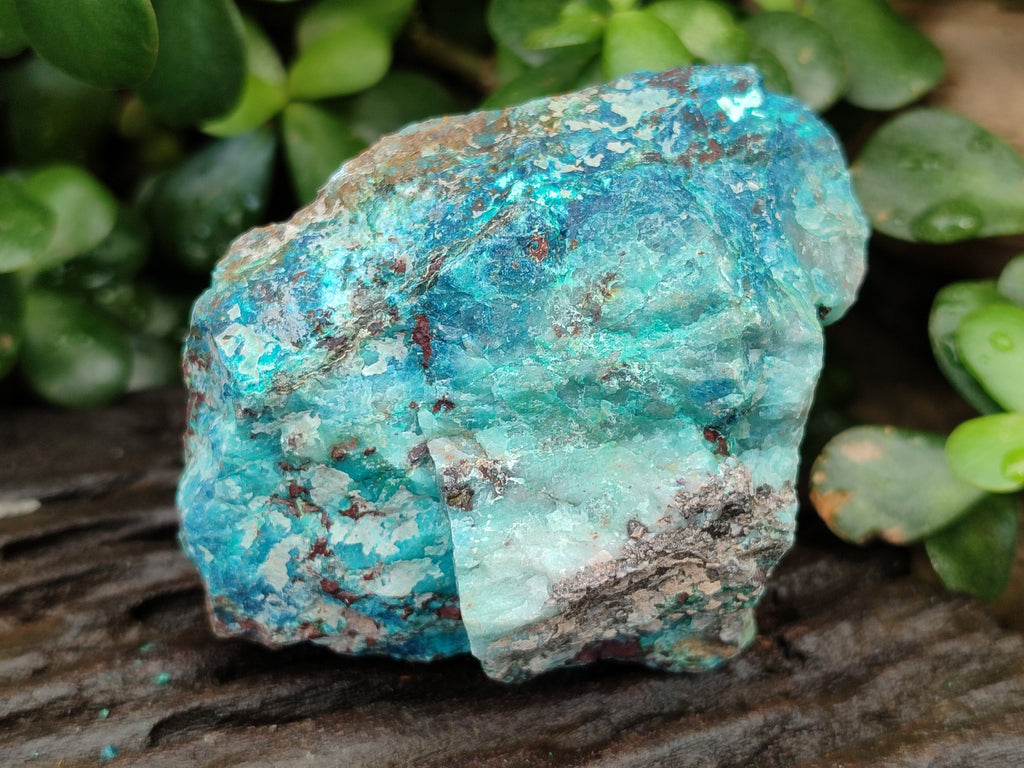 Natural Shattuckite with Chrysocolla Cobbed Specimens x 12 From Kaokoveld, Namibia - Toprock Gemstones and Minerals 