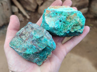 Natural Shattuckite with Chrysocolla Cobbed Specimens x 12 From Kaokoveld, Namibia - Toprock Gemstones and Minerals 