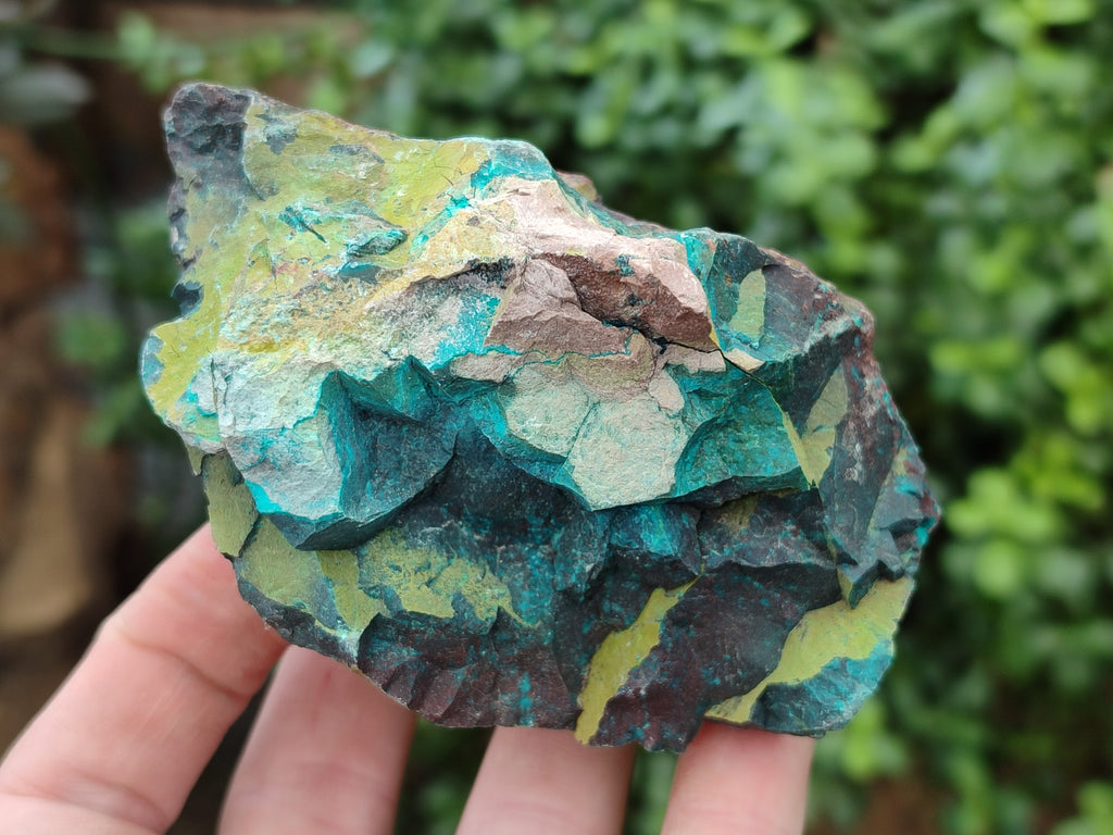Natural Shattuckite with Chrysocolla Cobbed Specimens x 12 From Kaokoveld, Namibia - Toprock Gemstones and Minerals 