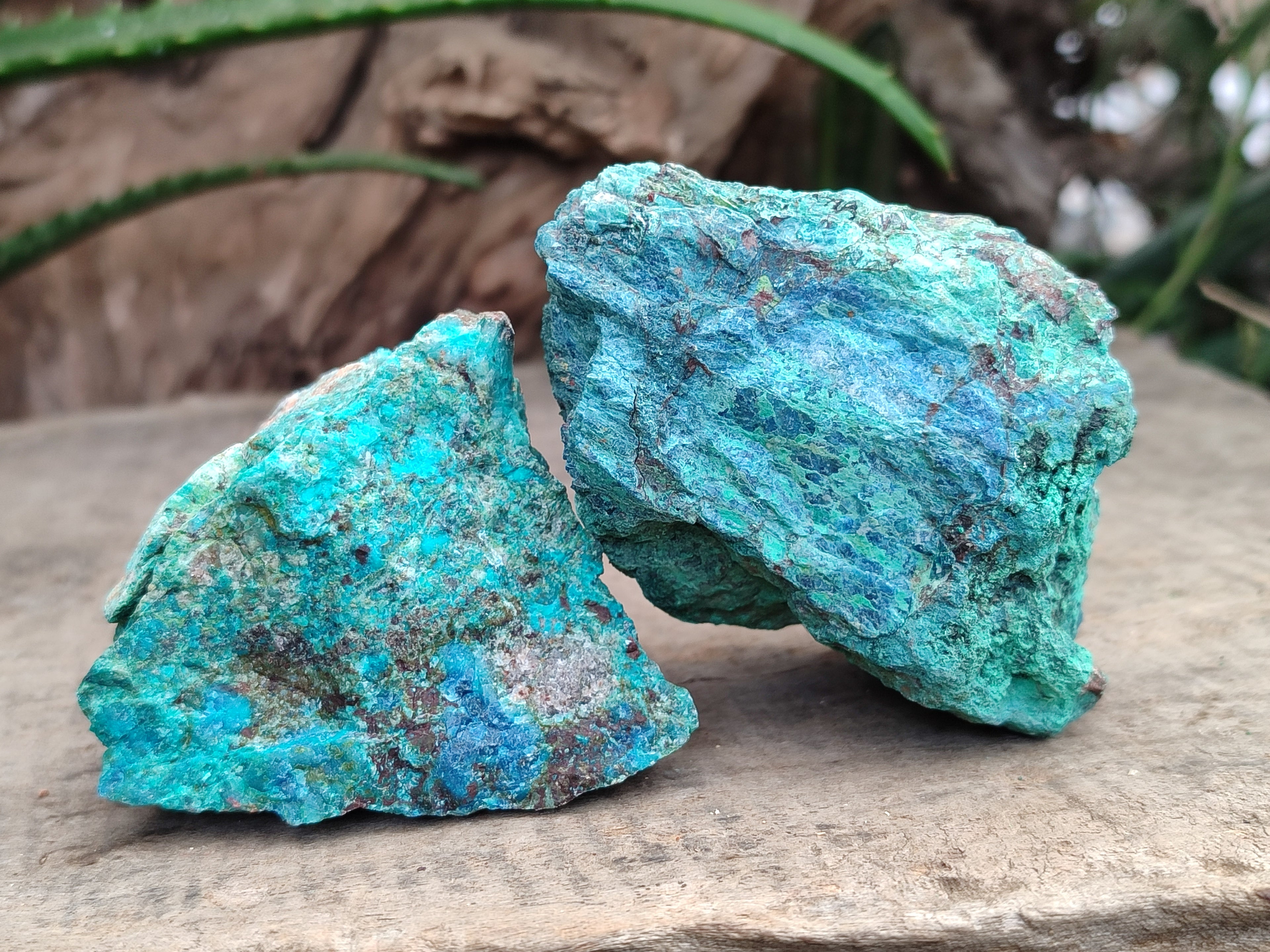 Natural Shattuckite with Chrysocolla Cobbed Specimens x 12 From Kaokoveld, Namibia - Toprock Gemstones and Minerals 