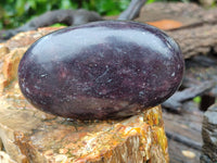 Polished Lepidolite Free Forms x 3 From Zimbabwe