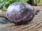 Polished Lepidolite Free Forms x 3 From Zimbabwe - Toprock Gemstones and Minerals 