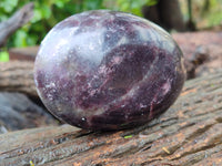 Polished Lepidolite Free Forms x 3 From Zimbabwe