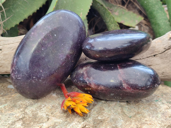 Polished Lepidolite Free Forms x 3 From Zimbabwe