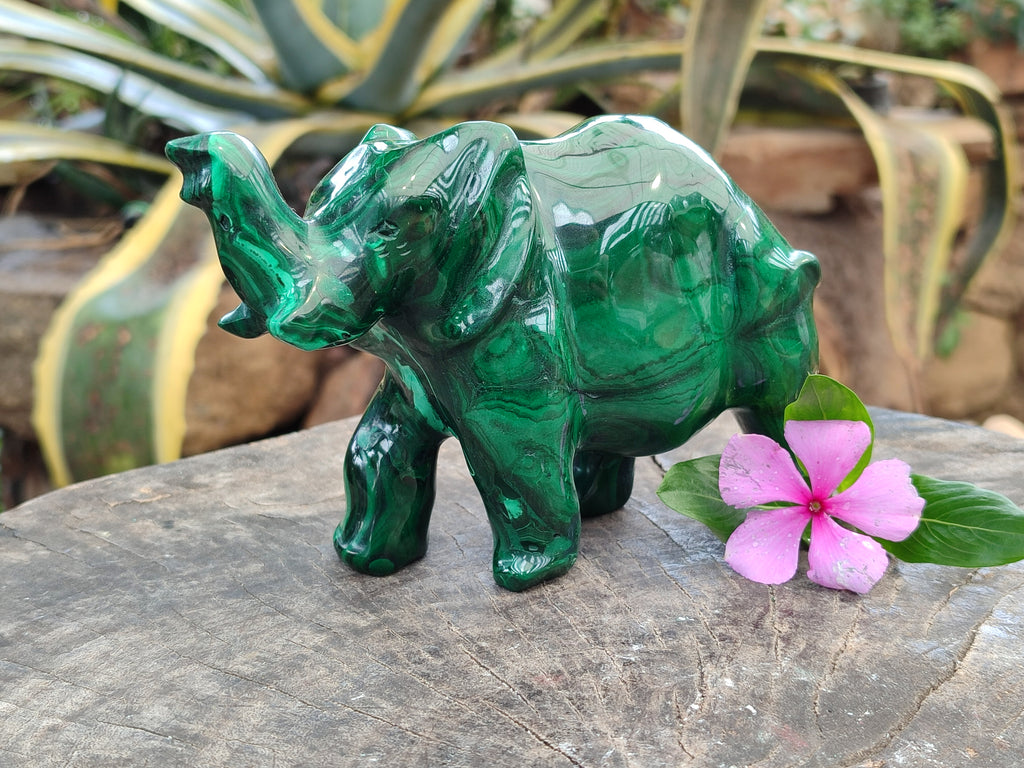 Hand Made Flower Banded Malachite Elephant Carving x 1 From Congo - Toprock Gemstones and Minerals 