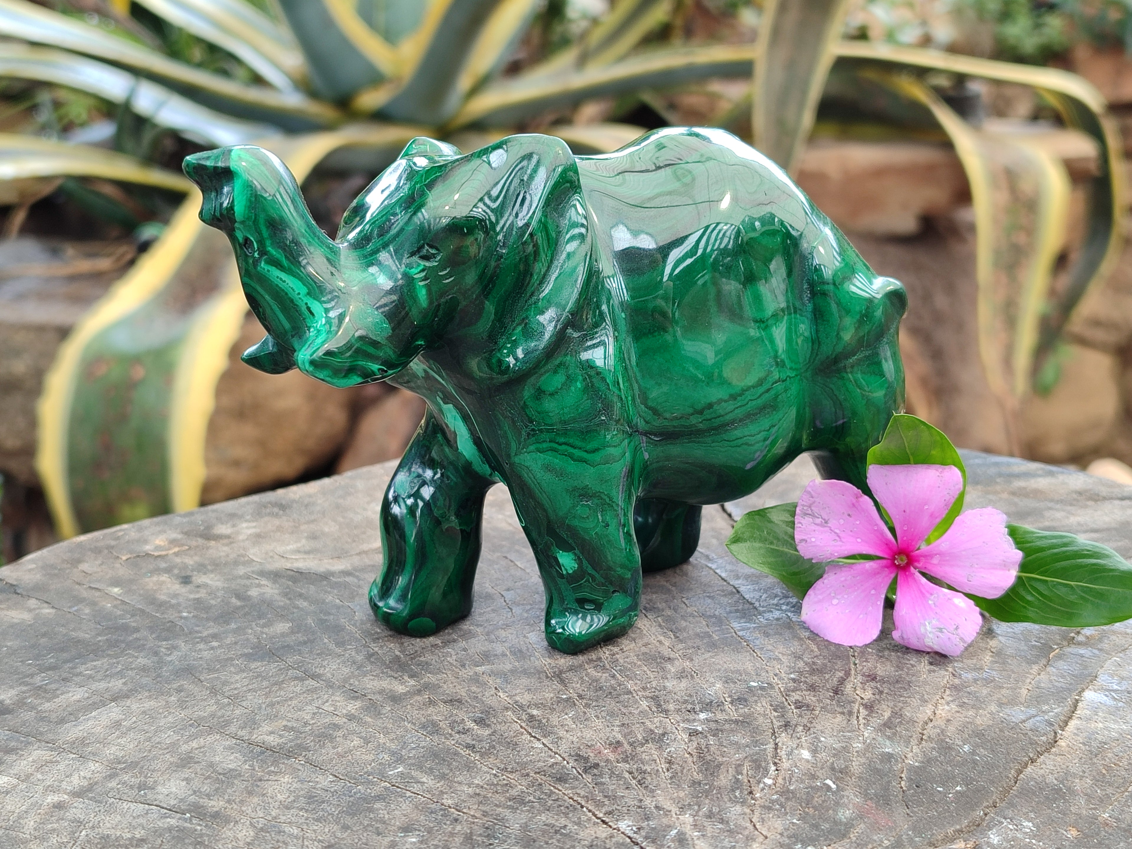 Hand Made Flower Banded Malachite Elephant Carving x 1 From Congo - Toprock Gemstones and Minerals 