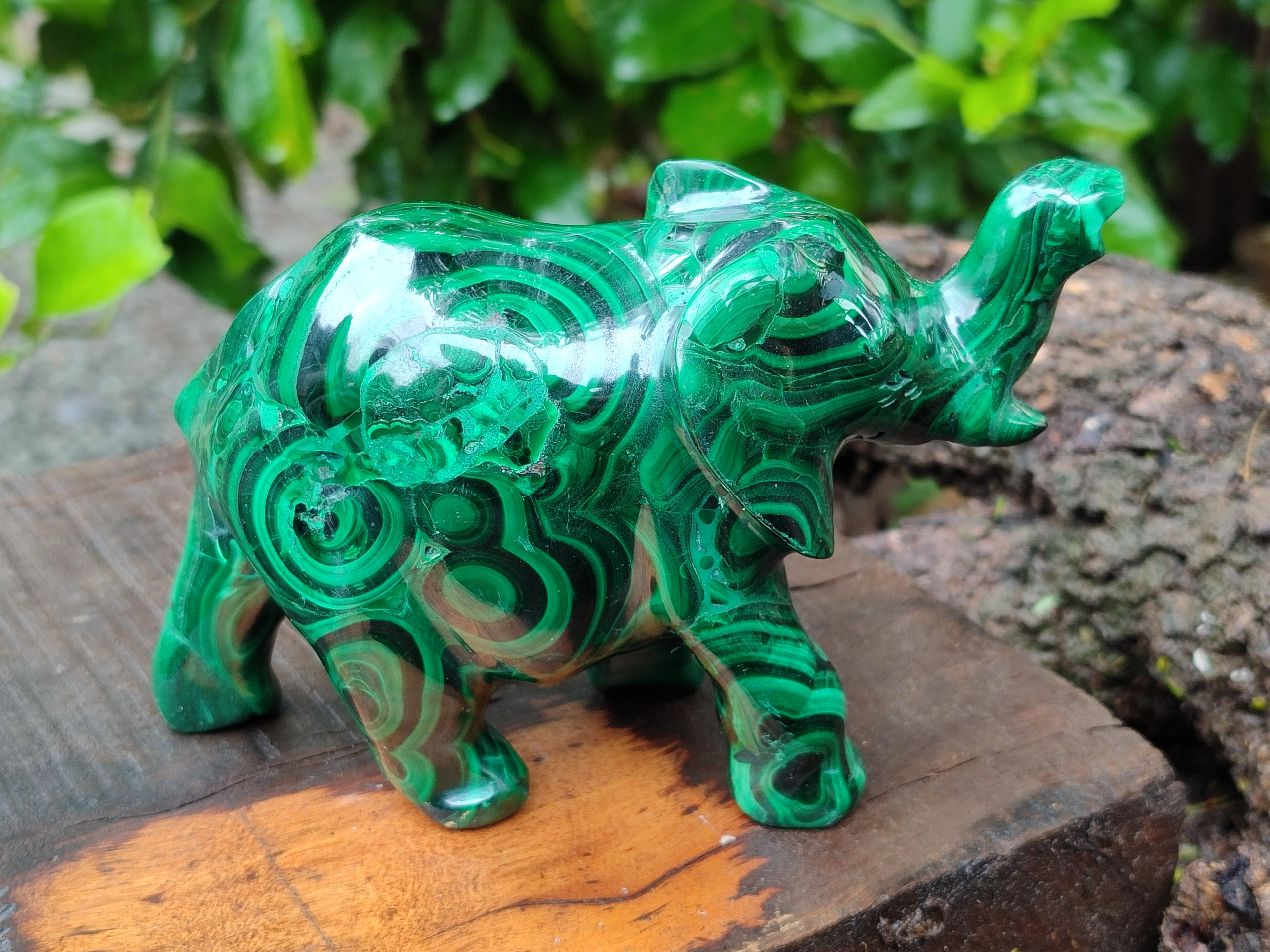 Hand Made Flower Banded Malachite Elephant Carving x 1 From Congo - Toprock Gemstones and Minerals 