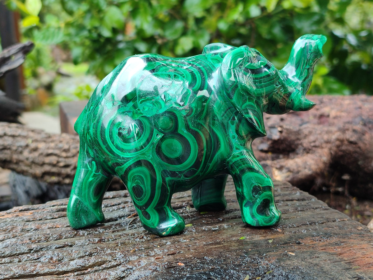 Hand Made Flower Banded Malachite Elephant Carving x 1 From Congo - Toprock Gemstones and Minerals 