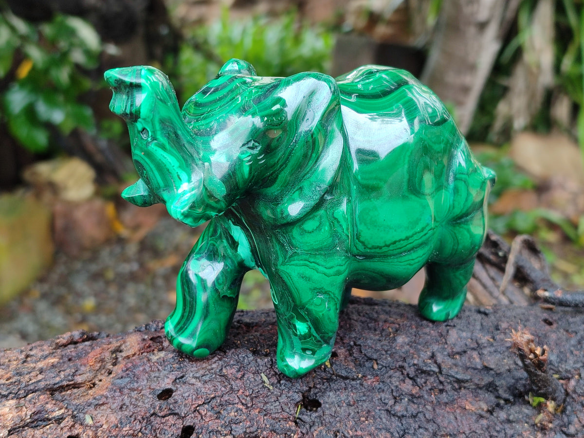 Hand Made Flower Banded Malachite Elephant Carving x 1 From Congo - Toprock Gemstones and Minerals 