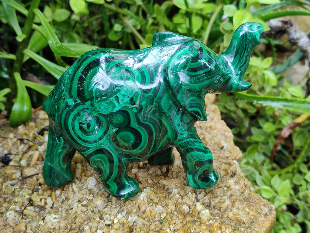 Hand Made Flower Banded Malachite Elephant Carving x 1 From Congo - Toprock Gemstones and Minerals 