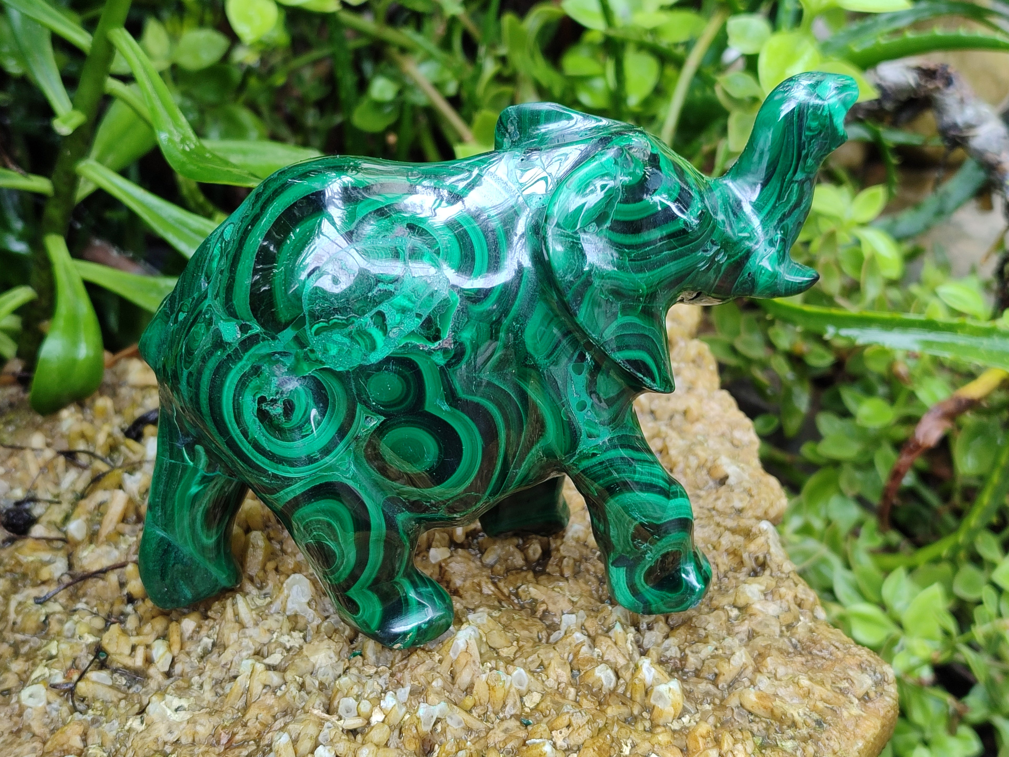 Hand Made Flower Banded Malachite Elephant Carving x 1 From Congo - Toprock Gemstones and Minerals 