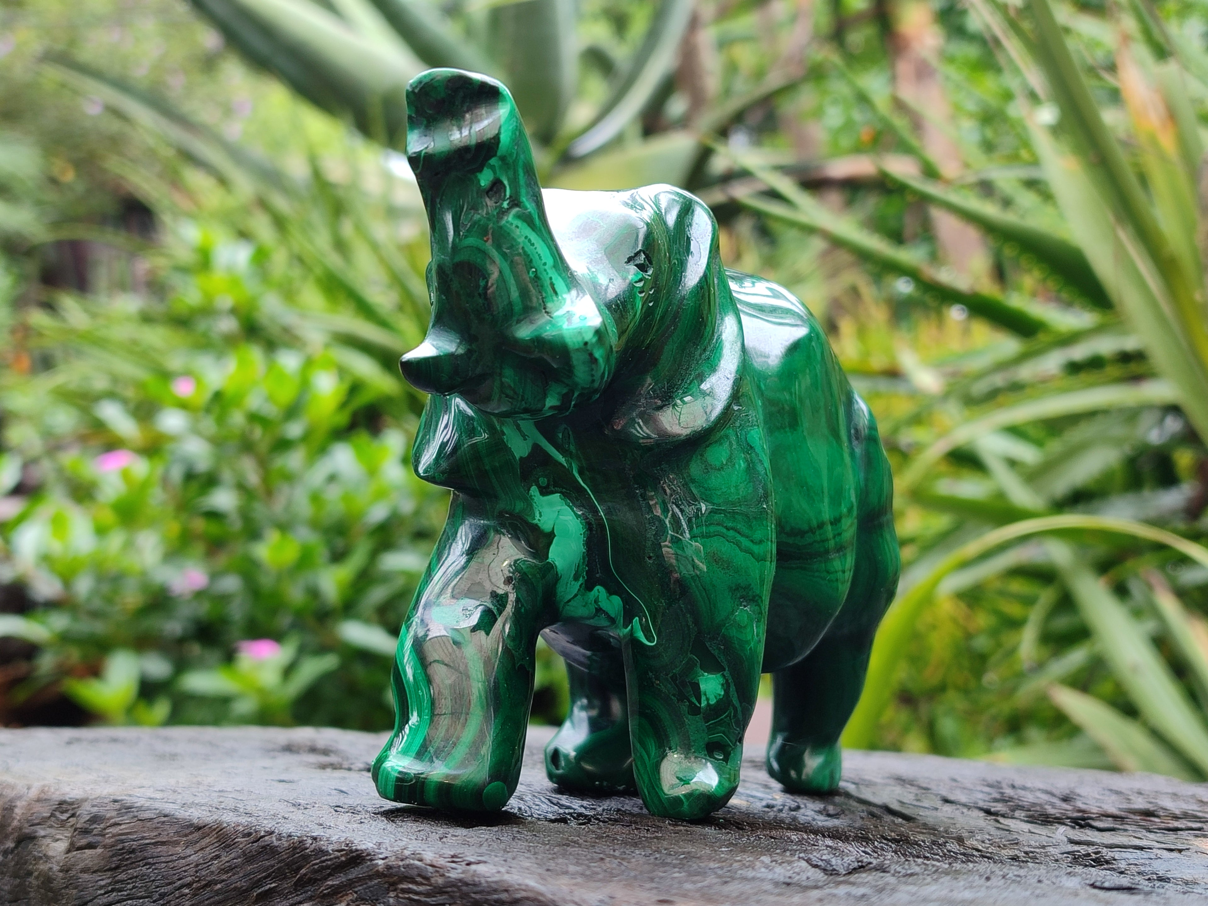 Hand Made Flower Banded Malachite Elephant Carving x 1 From Congo - Toprock Gemstones and Minerals 