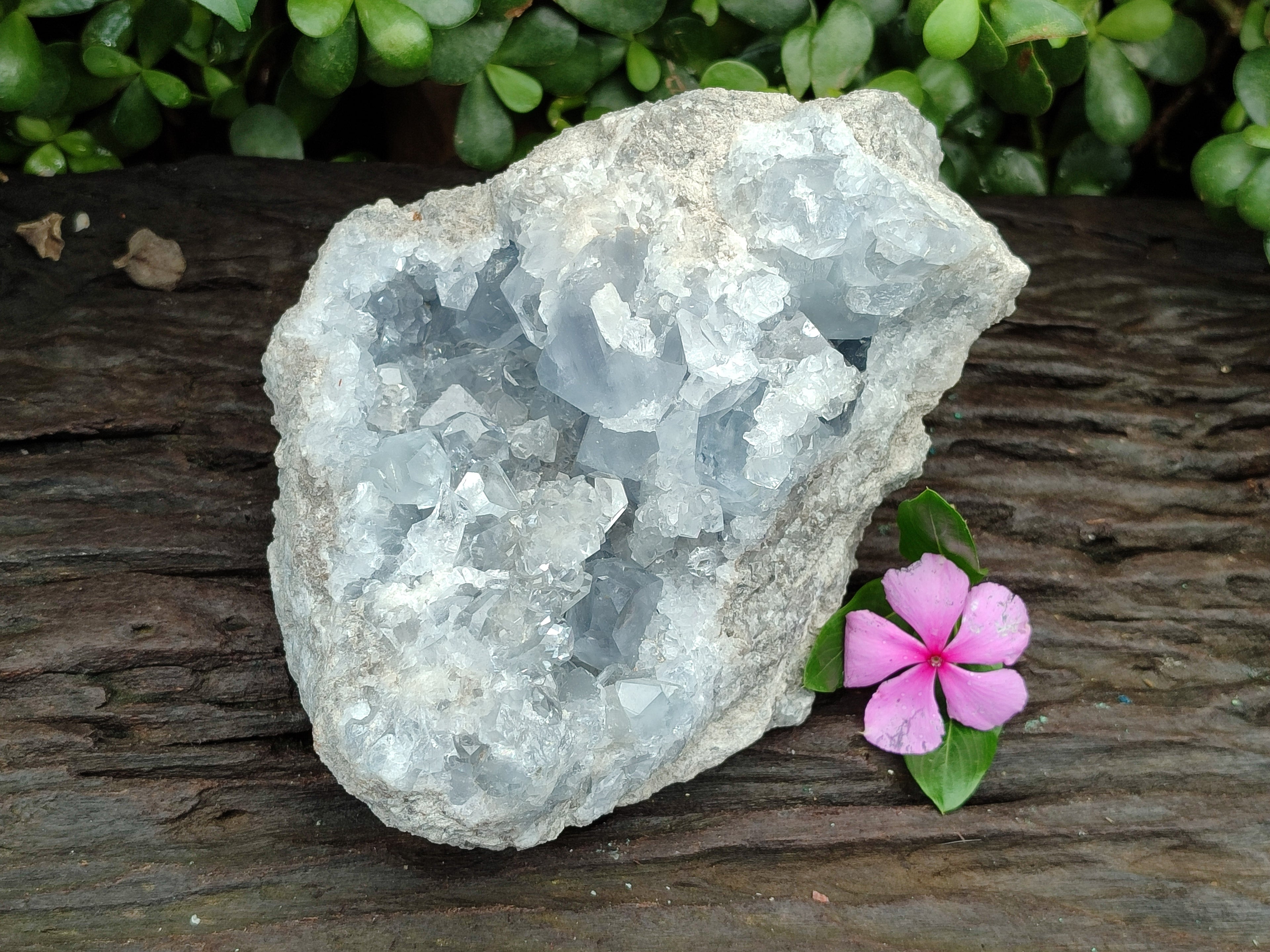 Natural Celestite Geode Specimen x 1 From Sakoany, Madagascar - Toprock Gemstones and Minerals 