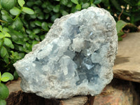 Natural Celestite Geode Specimen x 1 From Sakoany, Madagascar
