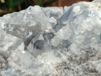 Natural Celestite Geode Specimen x 1 From Sakoany, Madagascar - Toprock Gemstones and Minerals 