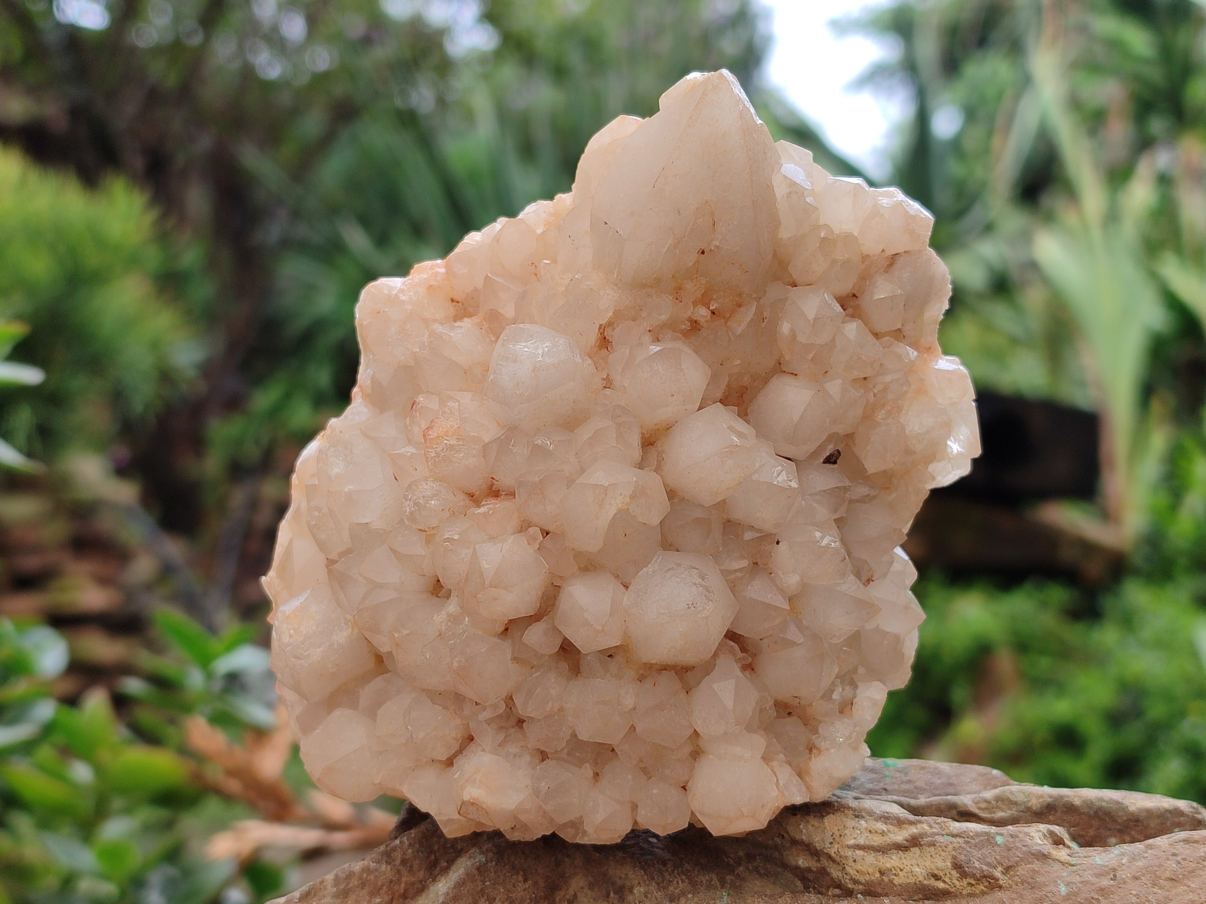 Natural White Cascading Quartz Clusters x 3 From Madagascar - Toprock Gemstones and Minerals 