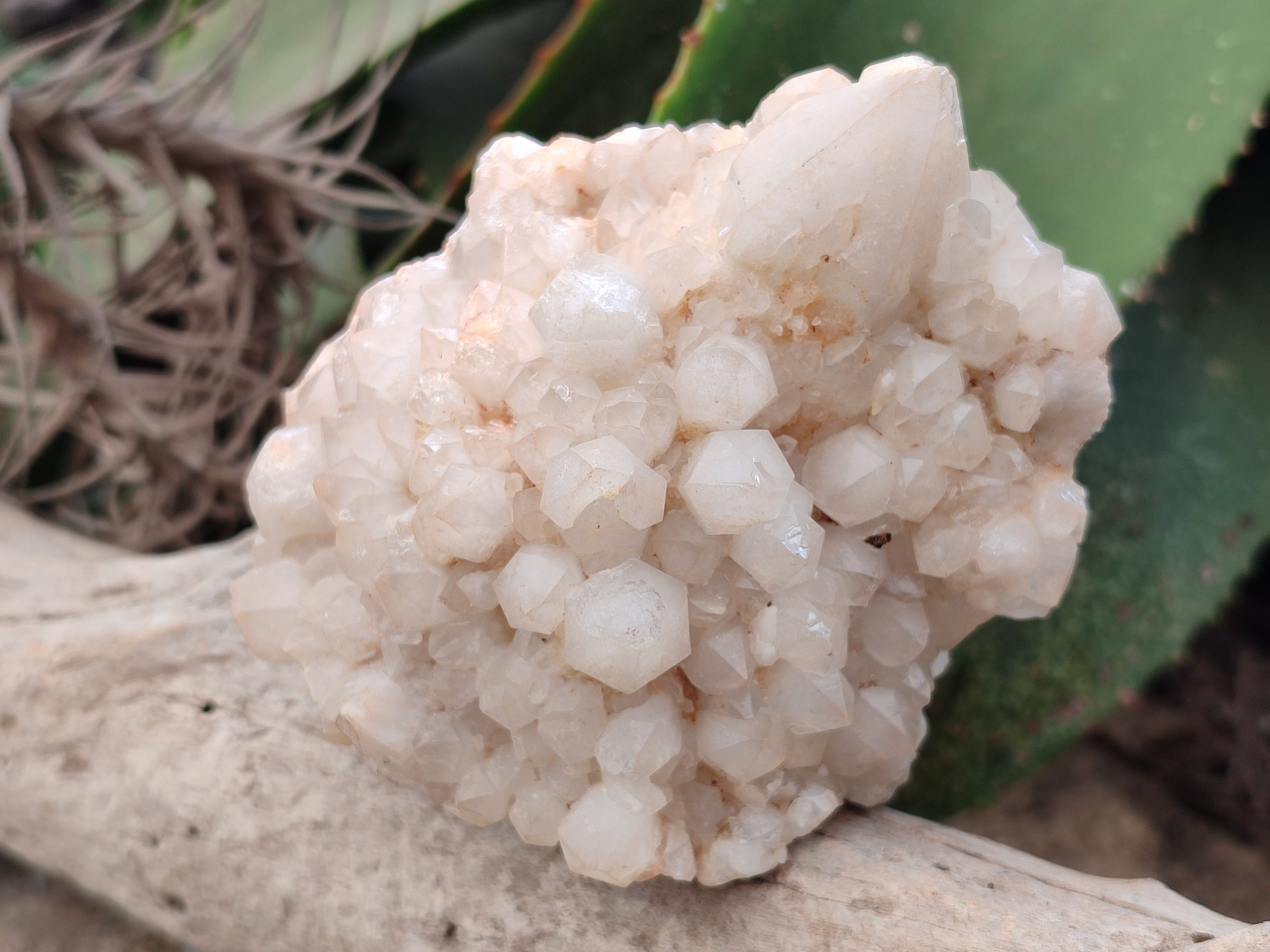 Natural White Cascading Quartz Clusters x 3 From Madagascar - Toprock Gemstones and Minerals 