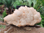 Natural White Cascading Quartz Clusters x 3 From Madagascar - Toprock Gemstones and Minerals 