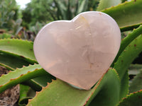 Polished Pink Pearl Girasol Quartz Hearts x 3 From Ambatondrazaka, Madagascar