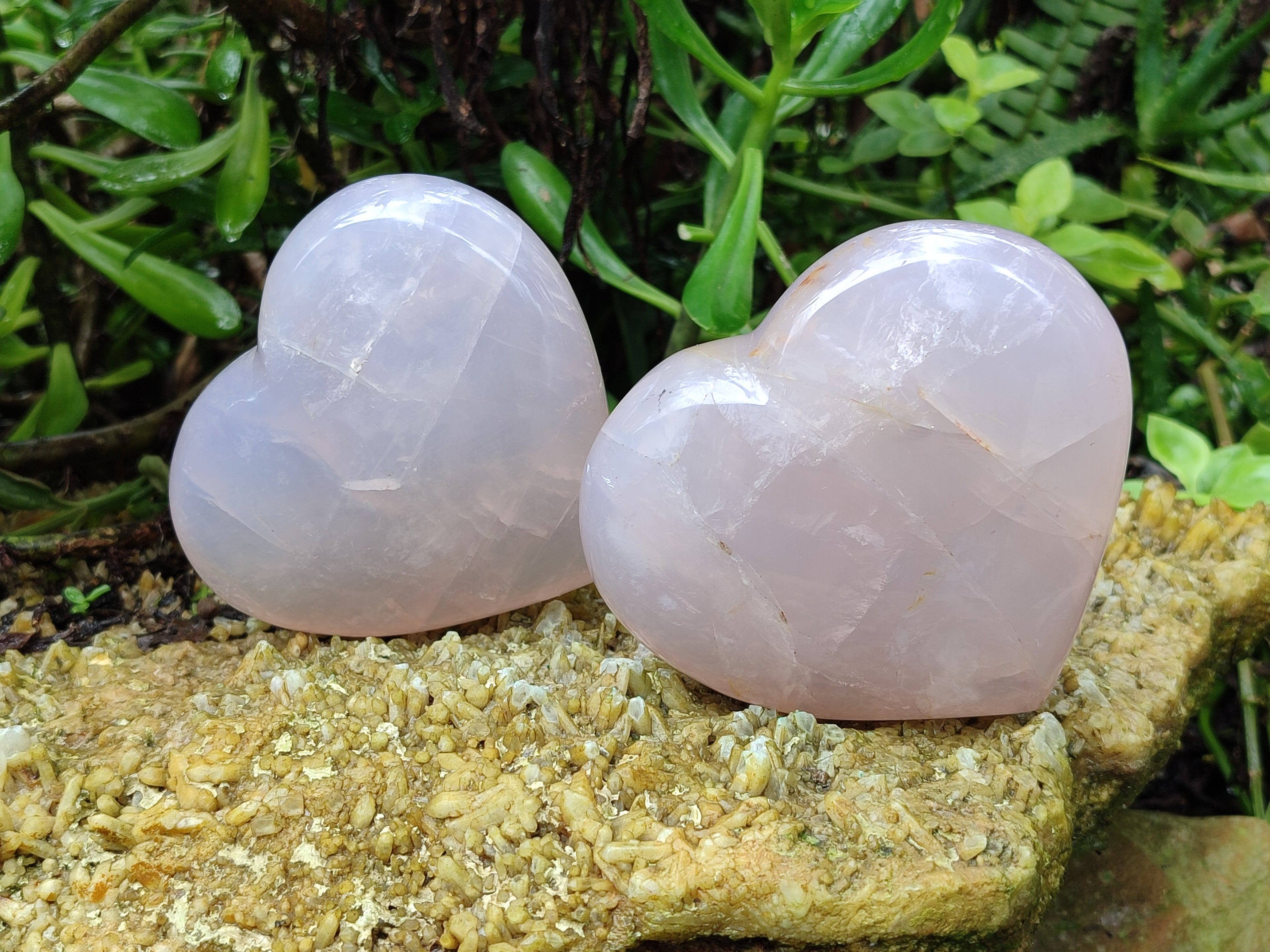 Polished Pink Pearl Girasol Quartz Hearts x 3 From Ambatondrazaka, Madagascar - Toprock Gemstones and Minerals 