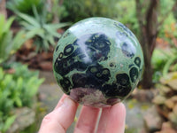 Polished Stromatolite Jasper Spheres x 2 From Katsepy, Madagascar