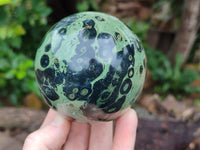Polished Stromatolite Jasper Spheres x 2 From Katsepy, Madagascar