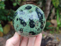 Polished Stromatolite Jasper Spheres x 2 From Katsepy, Madagascar