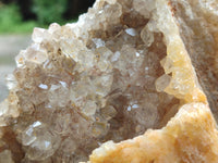 Natural Limonite Quartz Clusters x 2 From Solwezi, Zambia - Toprock Gemstones and Minerals 