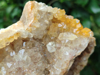 Natural Limonite Quartz Clusters x 2 From Solwezi, Zambia - Toprock Gemstones and Minerals 