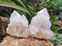 Natural Amethyst Cactus Spirit Quartz Clusters x 12 From Boekenhouthoek, South Africa