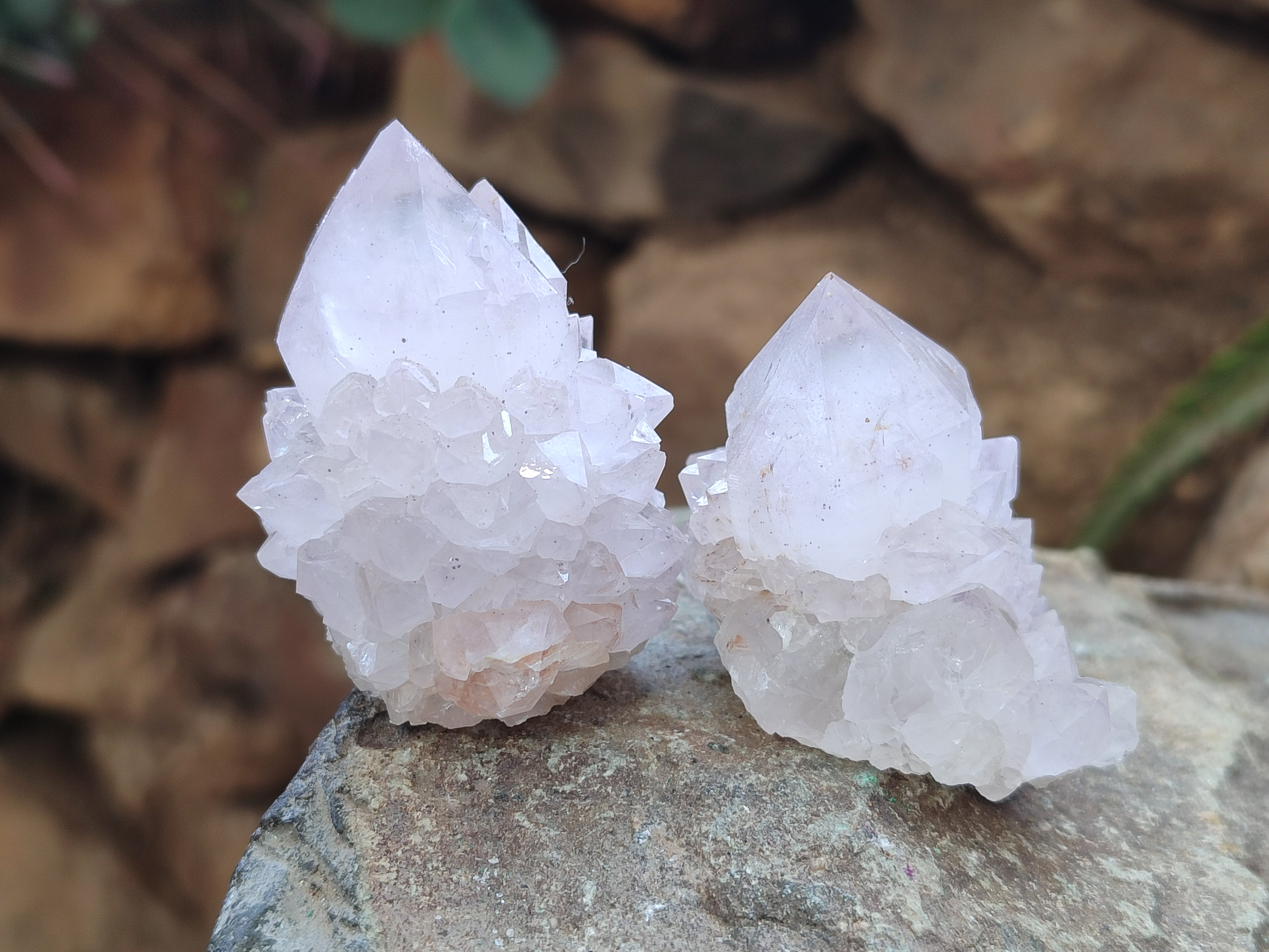Natural Amethyst Cactus Spirit Quartz Clusters x 12 From Boekenhouthoek, South Africa - Toprock Gemstones and Minerals 