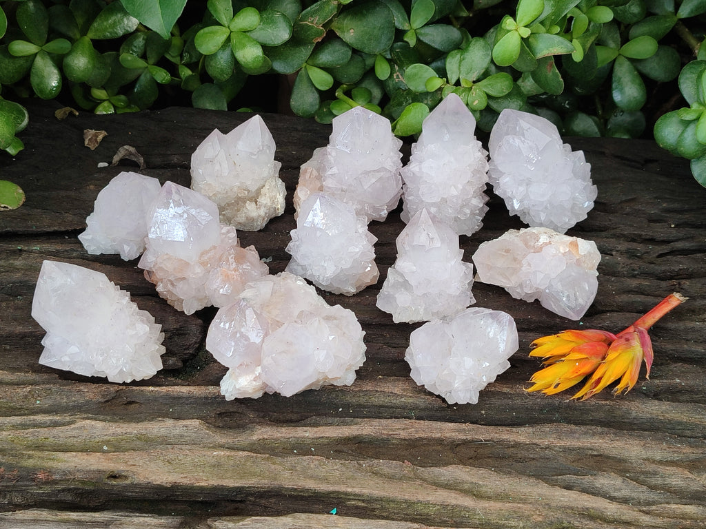 Natural Amethyst Cactus Spirit Quartz Clusters x 12 From Boekenhouthoek, South Africa - Toprock Gemstones and Minerals 