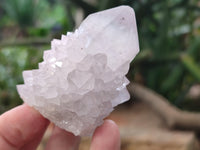 Natural Amethyst Cactus Spirit Quartz Clusters x 12 From Boekenhouthoek, South Africa