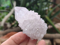Natural Amethyst Cactus Spirit Quartz Clusters x 12 From Boekenhouthoek, South Africa