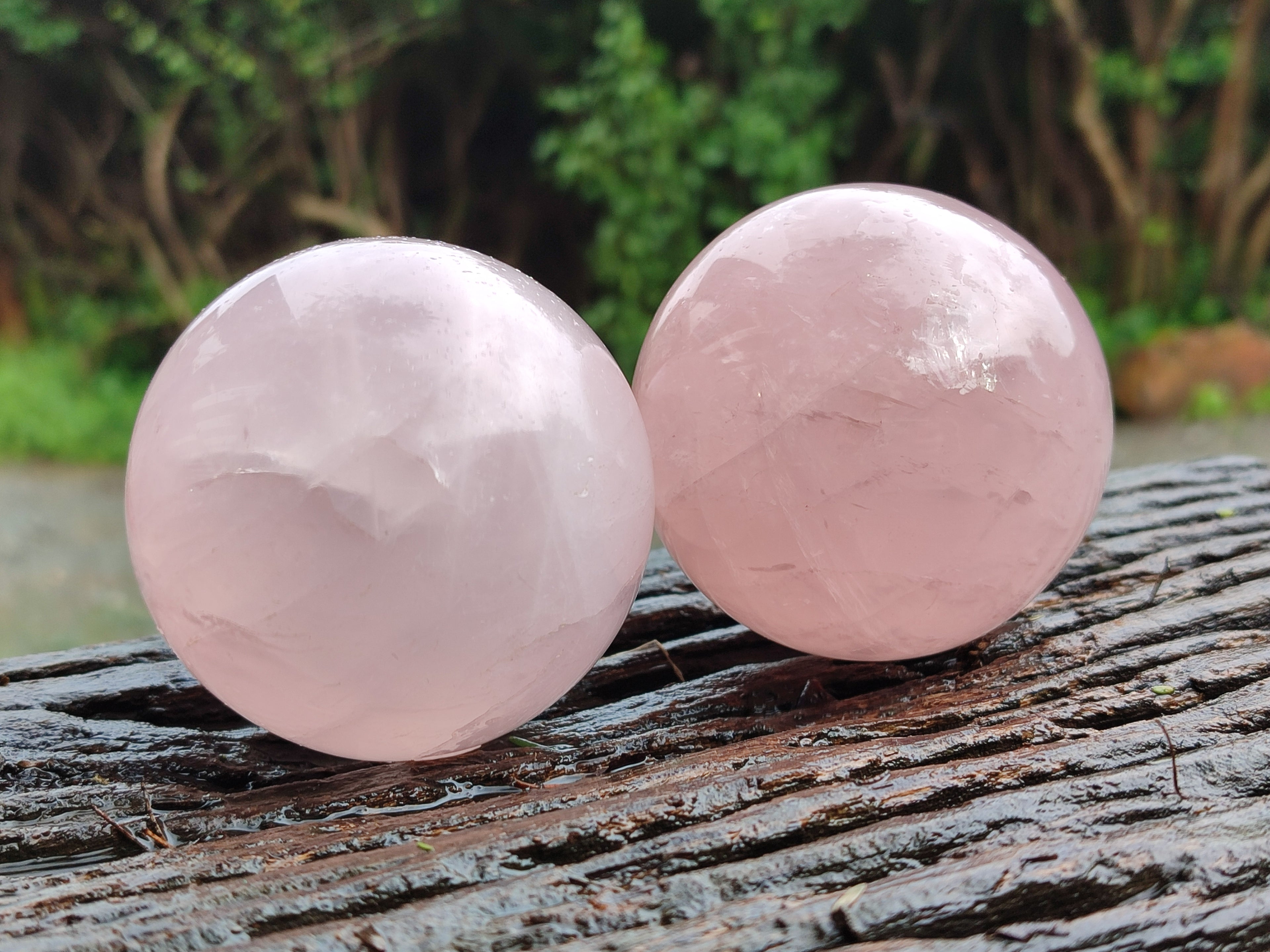 Polished Gemmy Rose Quartz Spheres with Star / Asterisms x 3 From Ambatondrazaka, Madagascar - Toprock Gemstones and Minerals 