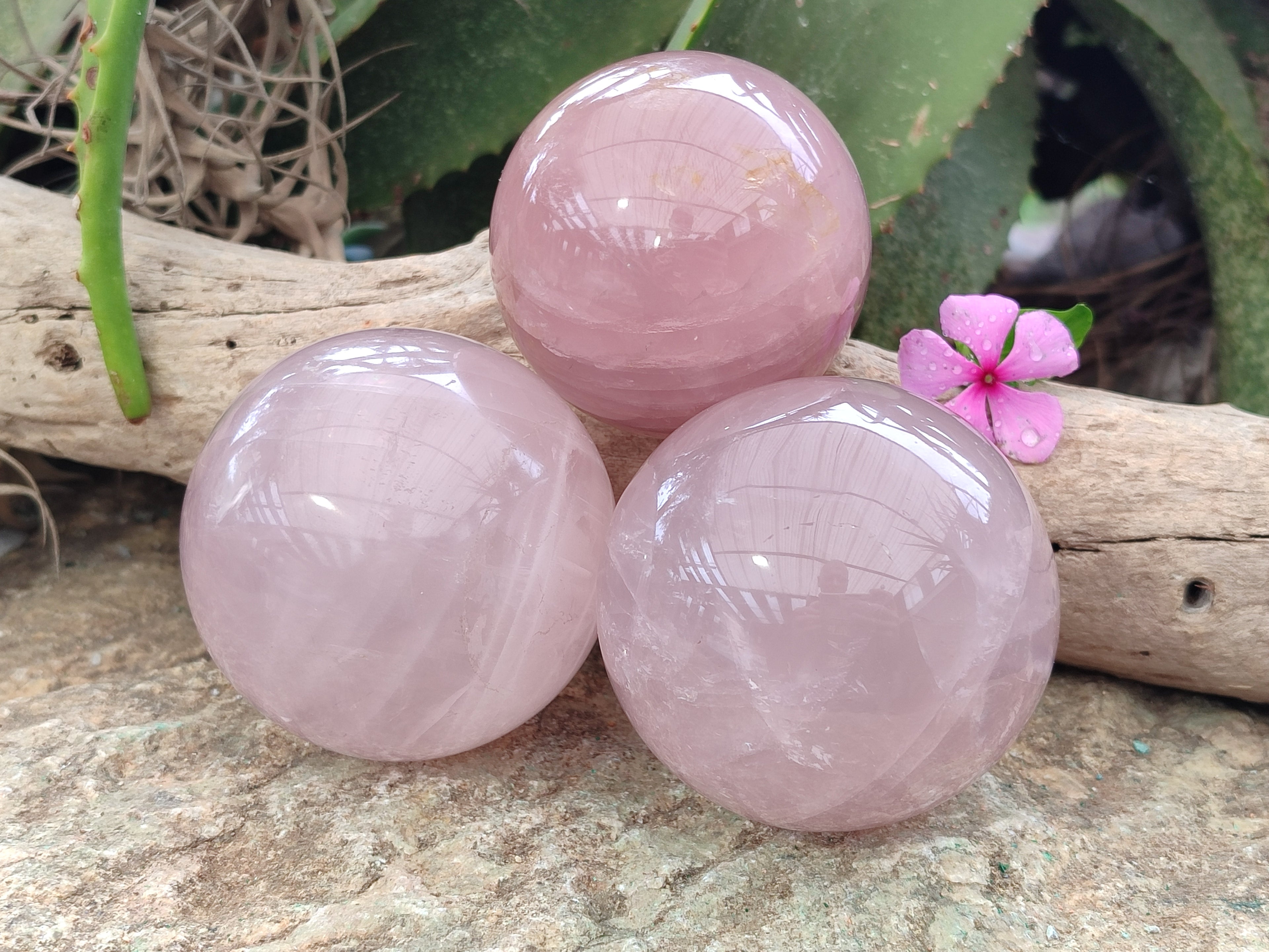 Polished Gemmy Rose Quartz Spheres with Star / Asterisms x 3 From Ambatondrazaka, Madagascar - Toprock Gemstones and Minerals 