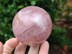 Polished Gemmy Rose Quartz Spheres with Star / Asterisms x 3 From Ambatondrazaka, Madagascar - Toprock Gemstones and Minerals 