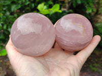 Polished Gemmy Rose Quartz Spheres with Star / Asterisms x 3 From Ambatondrazaka, Madagascar