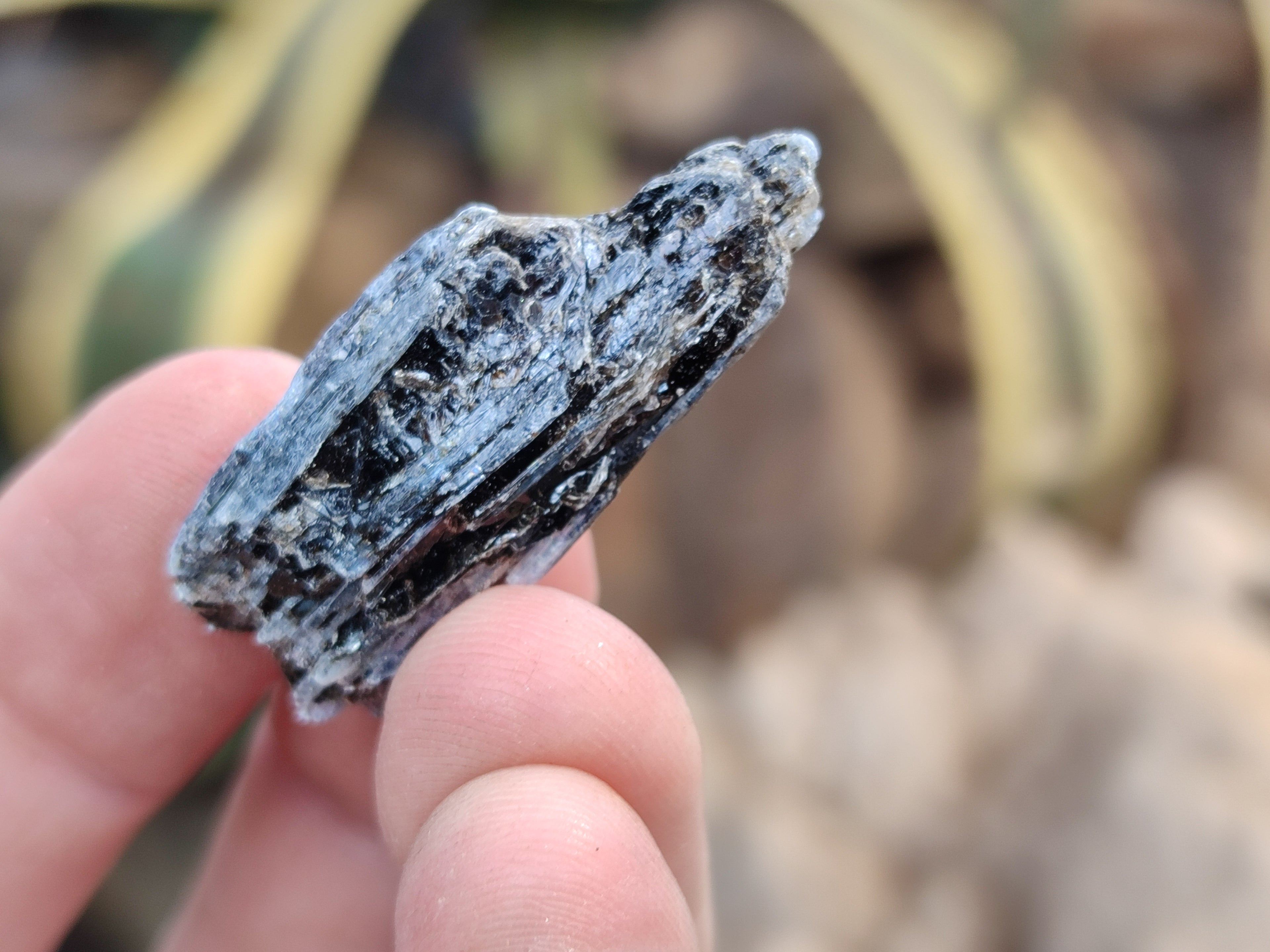 Natural Kyanite Crystals x 2.03 Kg Lot From Karoi, Zimbabwe - Toprock Gemstones and Minerals 