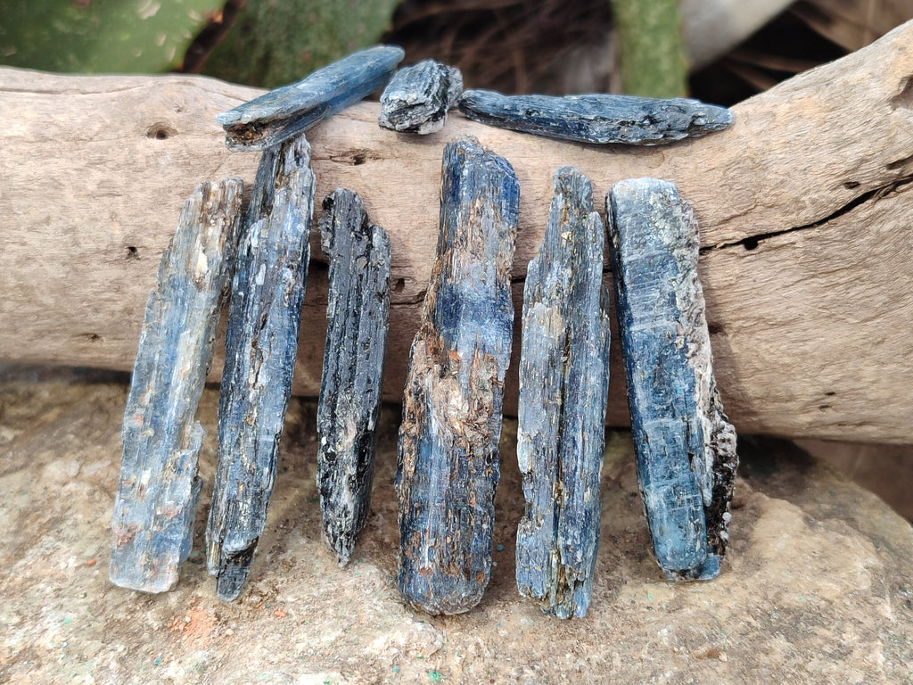 Natural Kyanite Crystals x 2.03 Kg Lot From Karoi, Zimbabwe - Toprock Gemstones and Minerals 