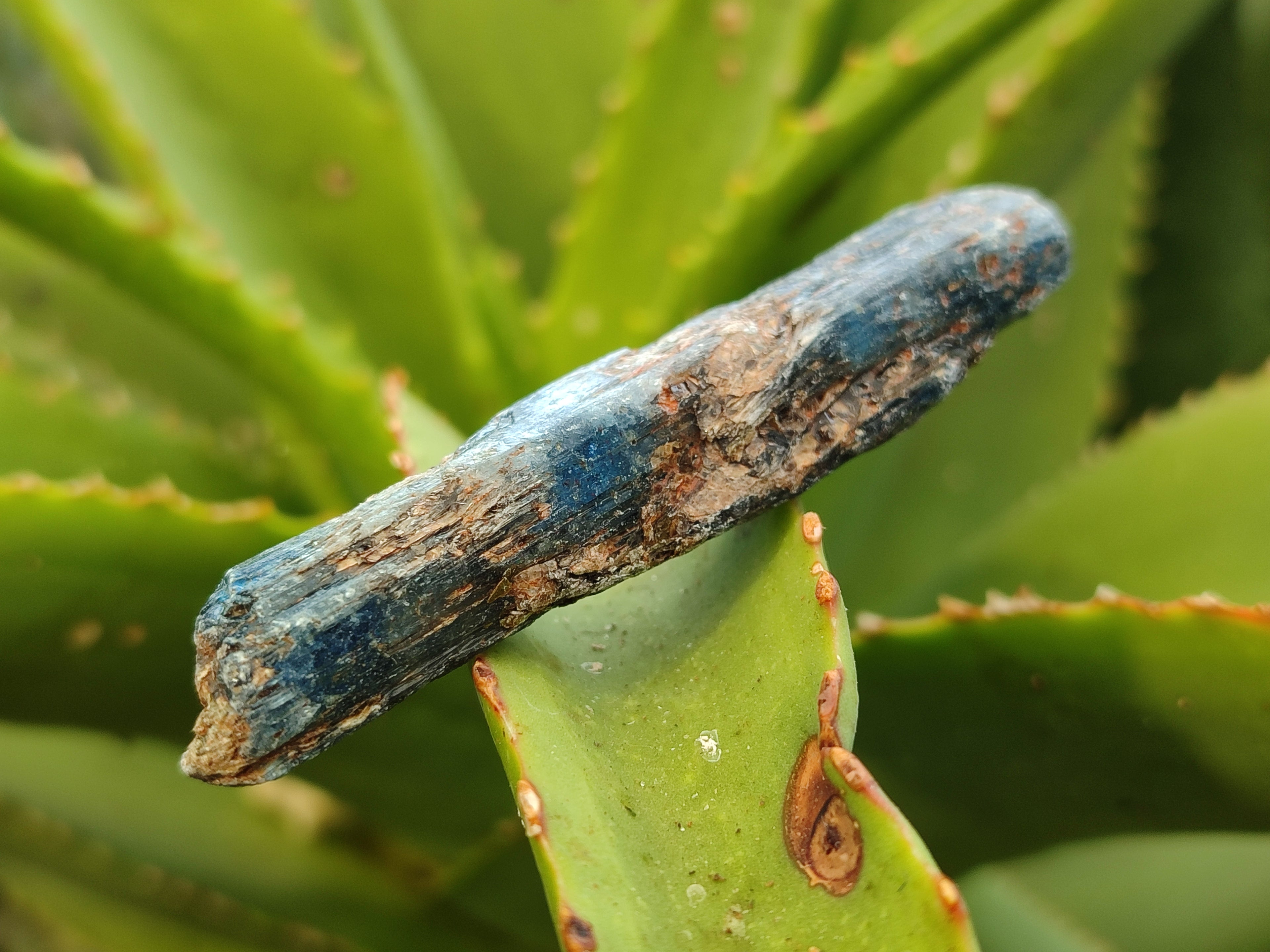 Natural Kyanite Crystals x 2.03 Kg Lot From Karoi, Zimbabwe - Toprock Gemstones and Minerals 