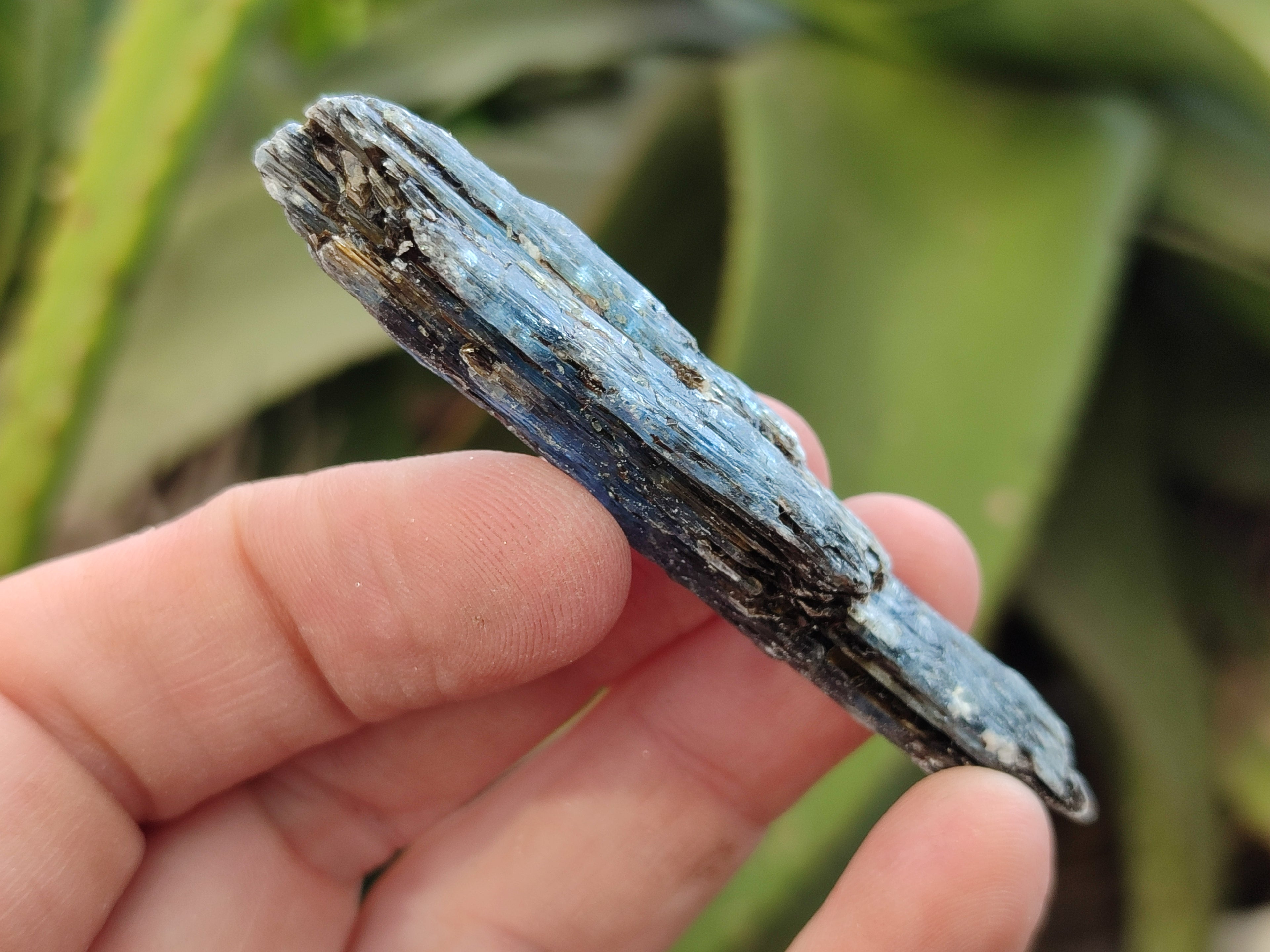 Natural Kyanite Crystals x 2.03 Kg Lot From Karoi, Zimbabwe - Toprock Gemstones and Minerals 