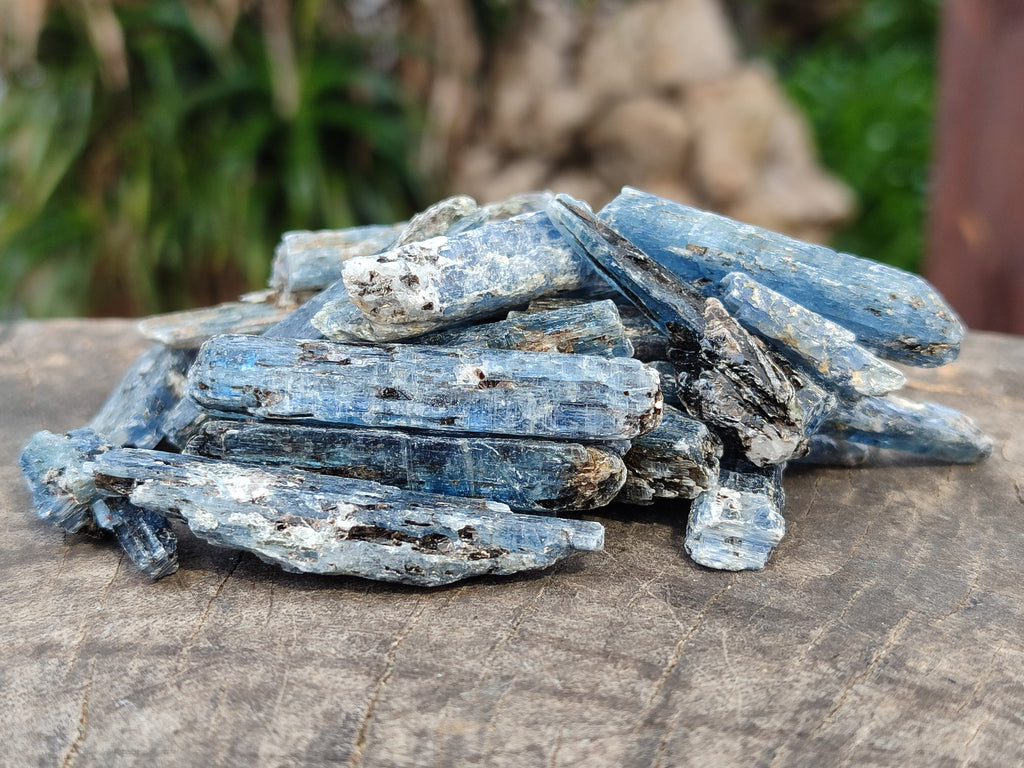 Natural Kyanite Crystals x 2.03 Kg Lot From Karoi, Zimbabwe - Toprock Gemstones and Minerals 