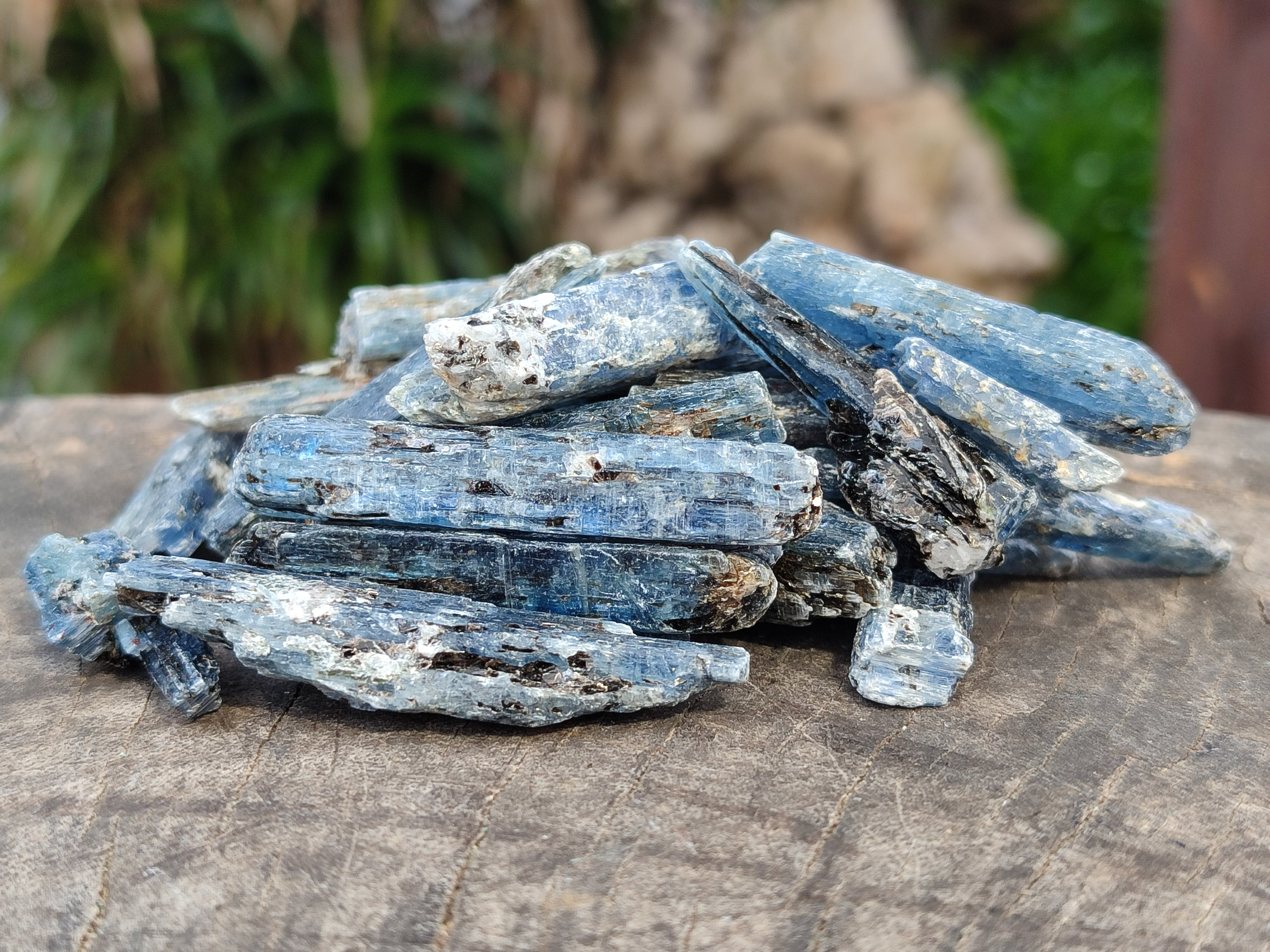 Natural Kyanite Crystals x 2.03 Kg Lot From Karoi, Zimbabwe - Toprock Gemstones and Minerals 